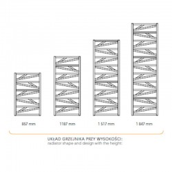 Trick (Instal Projekt)