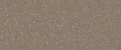 Pearl Beige